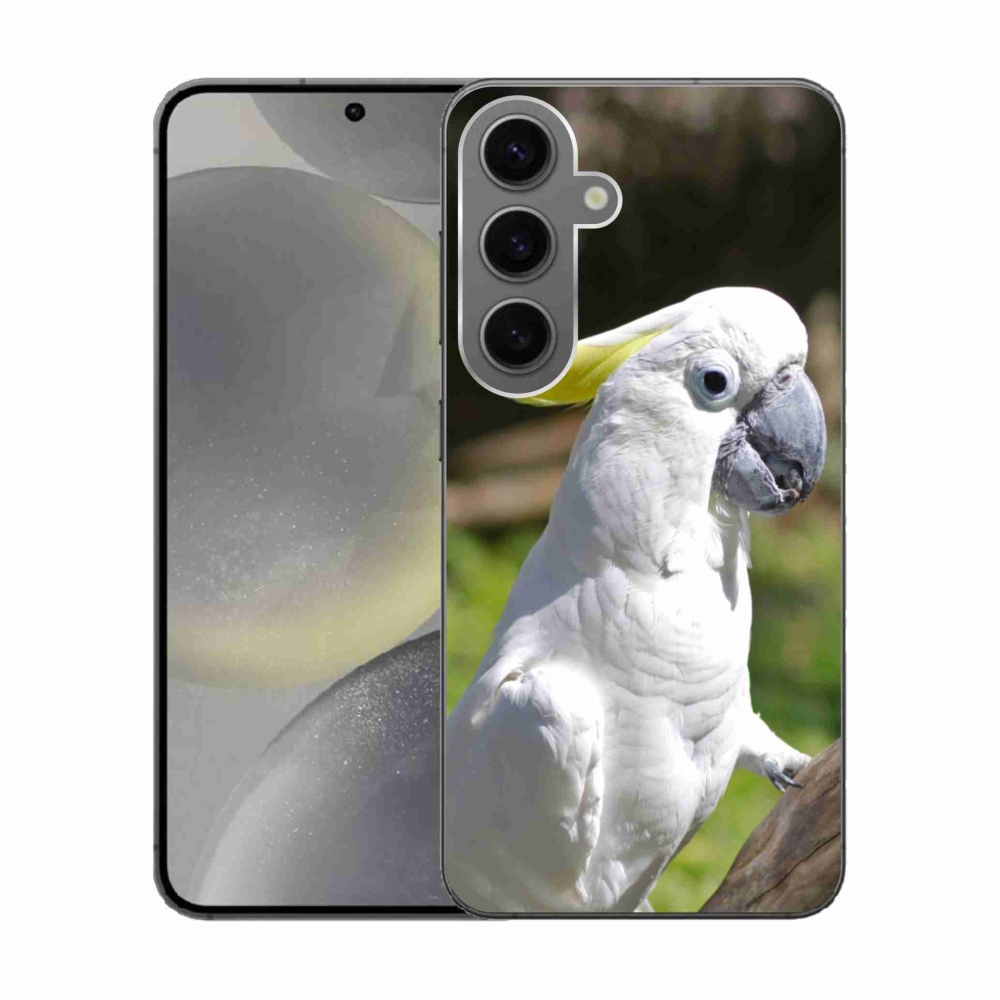 Gelový kryt mmCase na Samsung Galaxy S24 - papoušek kakadu 2
