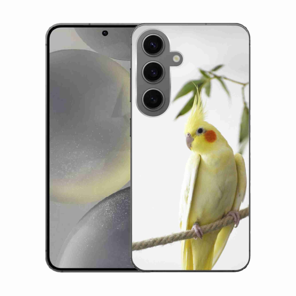 Gelový kryt mmCase na Samsung Galaxy S24 - papoušek korela chocholatá