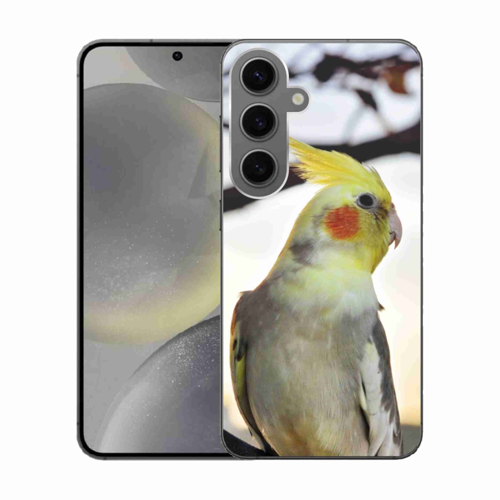 Gelový kryt mmCase na Samsung Galaxy S24 - papoušek korela