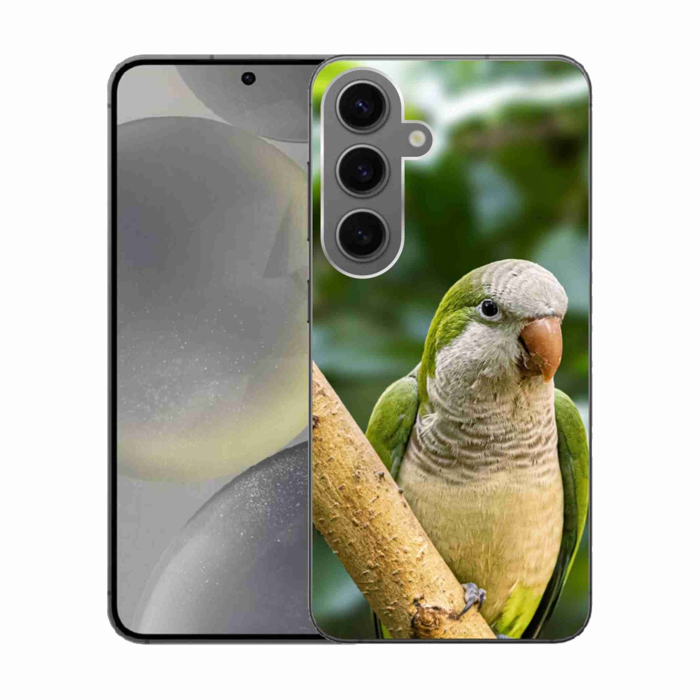 Gelový kryt mmCase na Samsung Galaxy S24 - papoušek mníšek