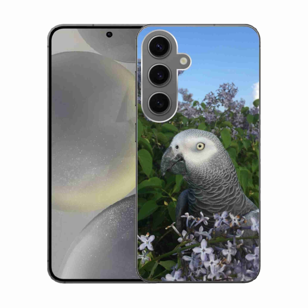 Gelový kryt mmCase na Samsung Galaxy S24 - papoušek žako