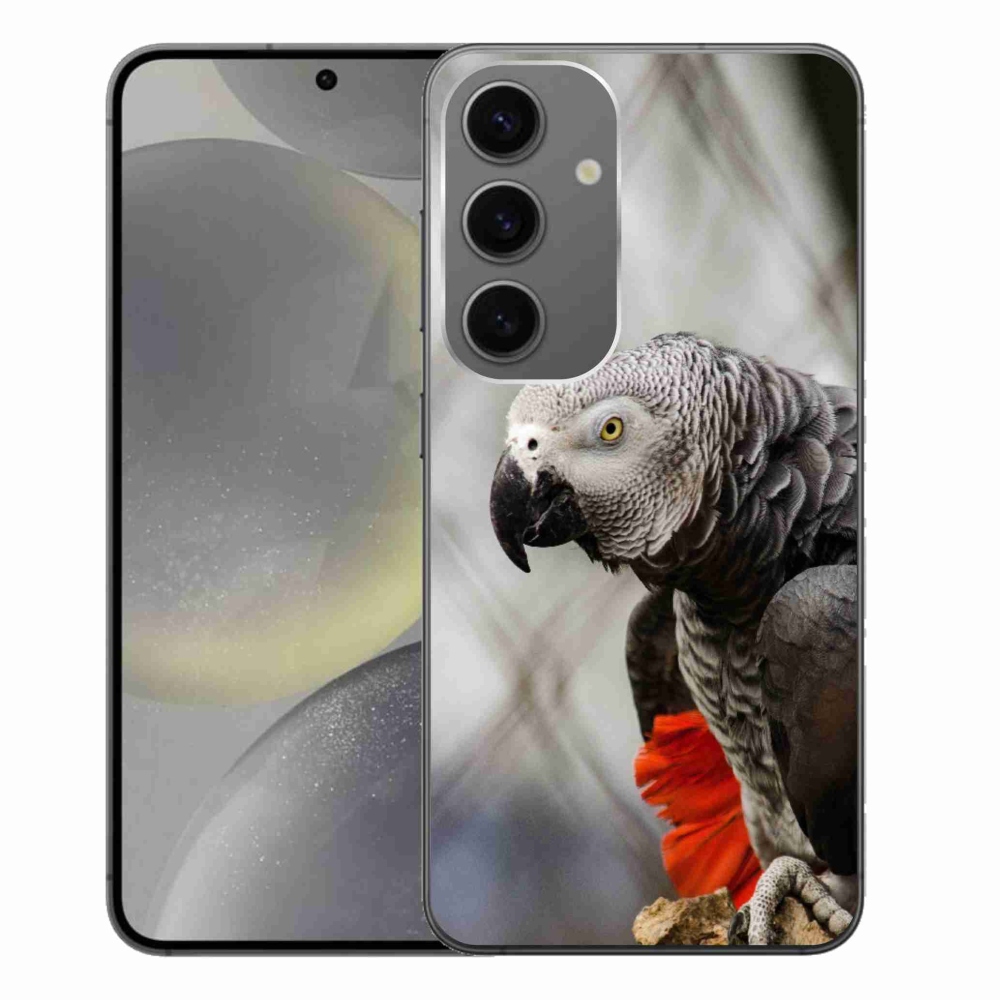 Gelový kryt mmCase na Samsung Galaxy S24+ - papoušek žako 3