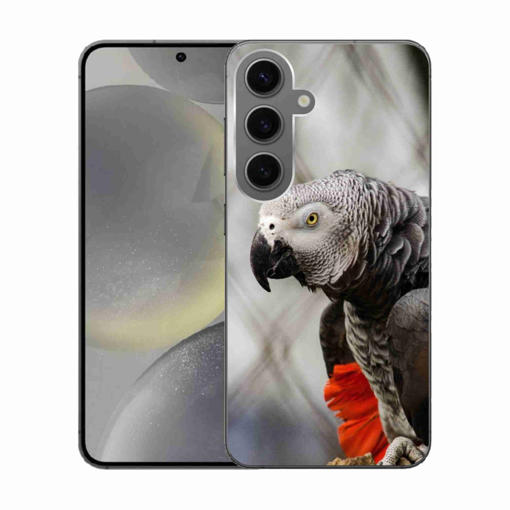 Gelový kryt mmCase na Samsung Galaxy S24 - papoušek žako 3