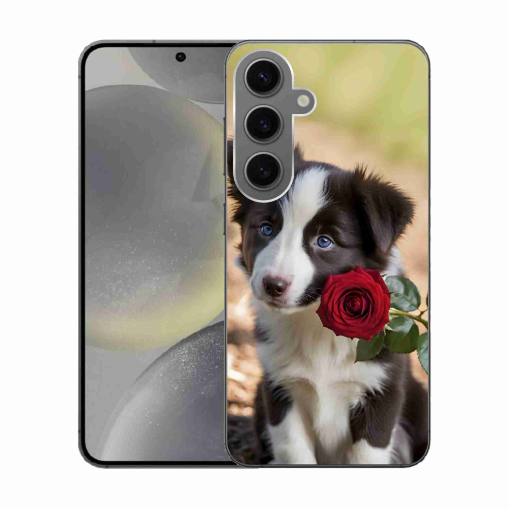 Gelový kryt mmCase na Samsung Galaxy S24 - roztomilá border kolie s růží
