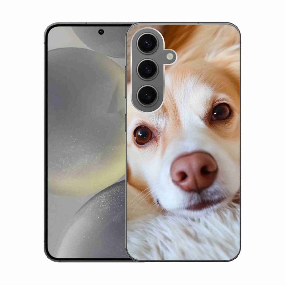 Gelový kryt mmCase na Samsung Galaxy S24 - Roztomilá čivava
