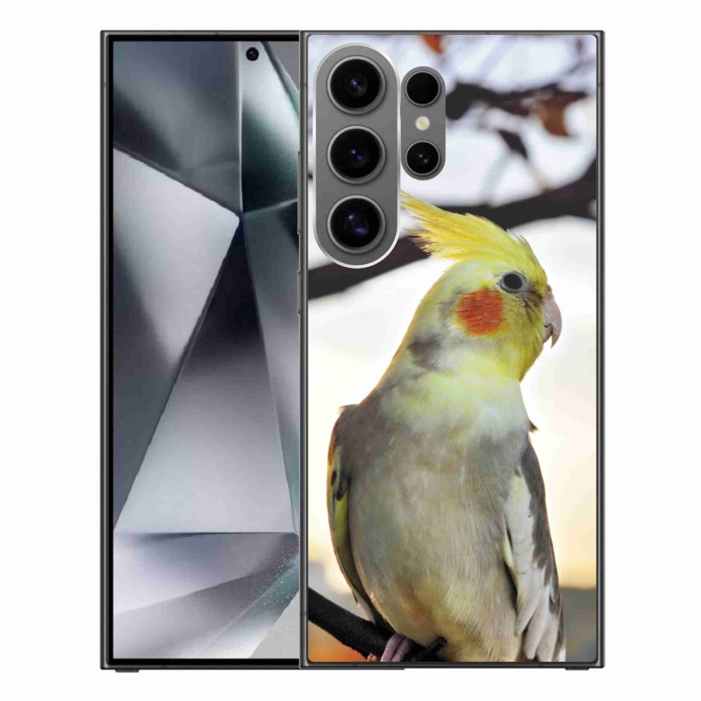 Gelový kryt mmCase na Samsung Galaxy S24 Ultra - papoušek korela