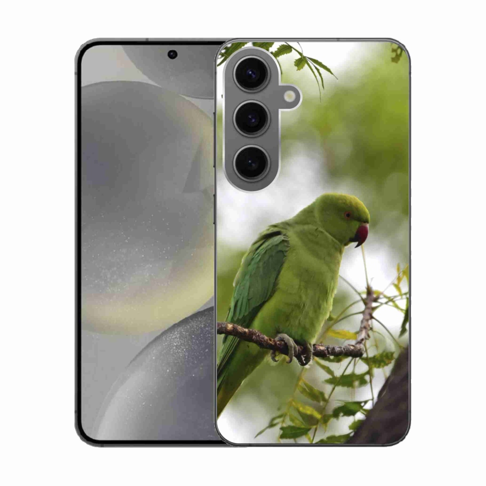 Gelový kryt mmCase na Samsung Galaxy S24 - zelený papoušek