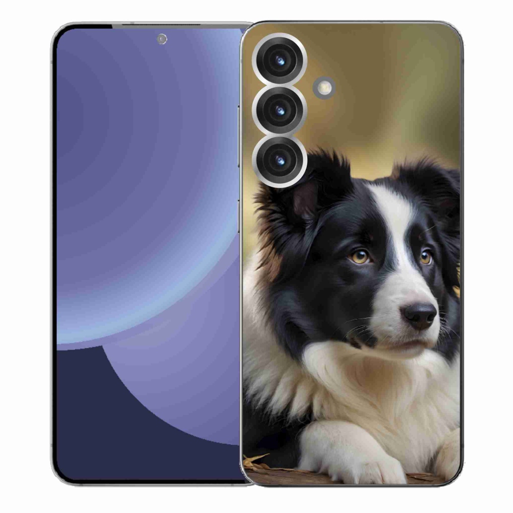 Gelový kryt mmCase na Samsung Galaxy S25+ - border kolie 2