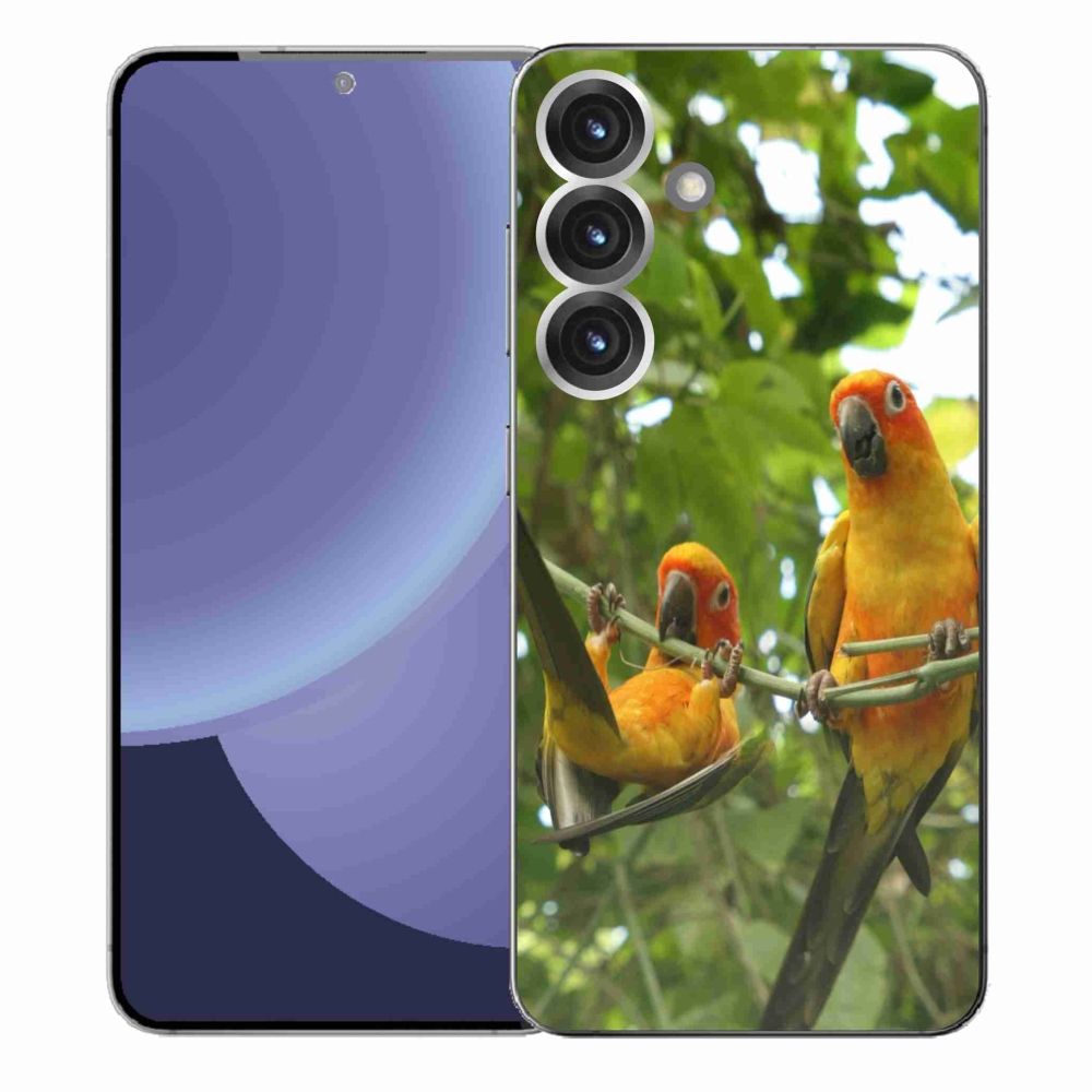 Gelový kryt mmCase na Samsung Galaxy S25+ - papoušci aratingy