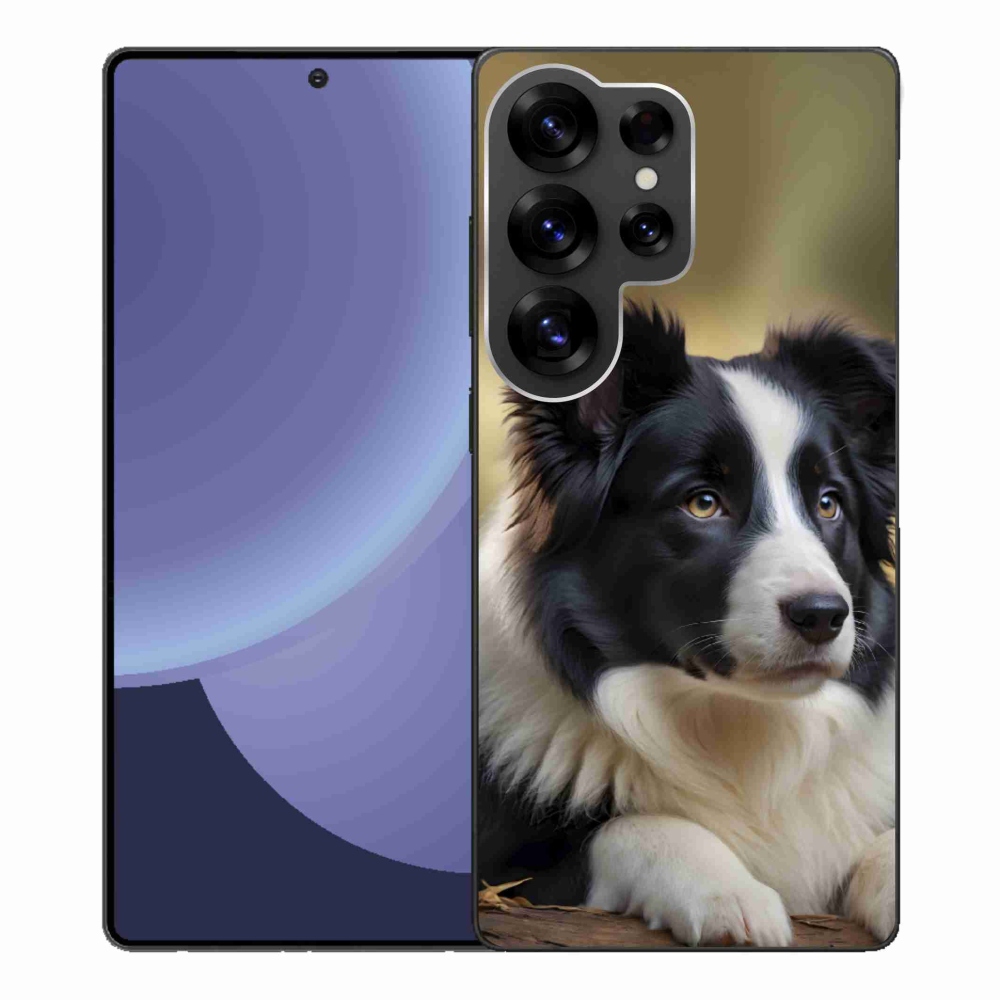 Gelový kryt mmCase na Samsung Galaxy S25 Ultra - border kolie 2