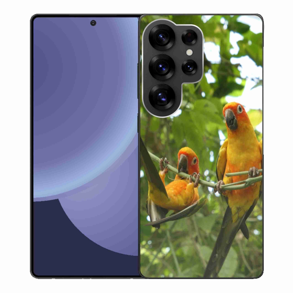 Gelový kryt mmCase na Samsung Galaxy S25 Ultra - papoušci aratingy