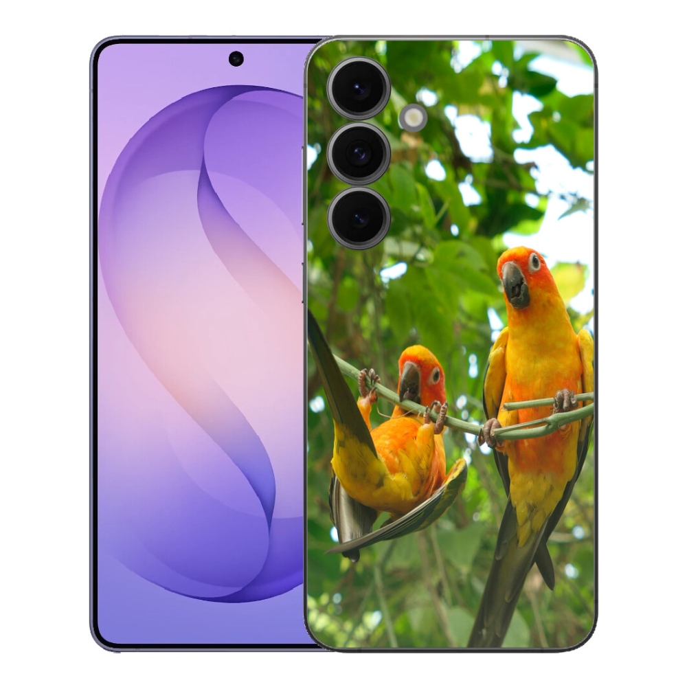 Gelový kryt mmCase na Samsung Galaxy S26 FE - papoušci aratingy