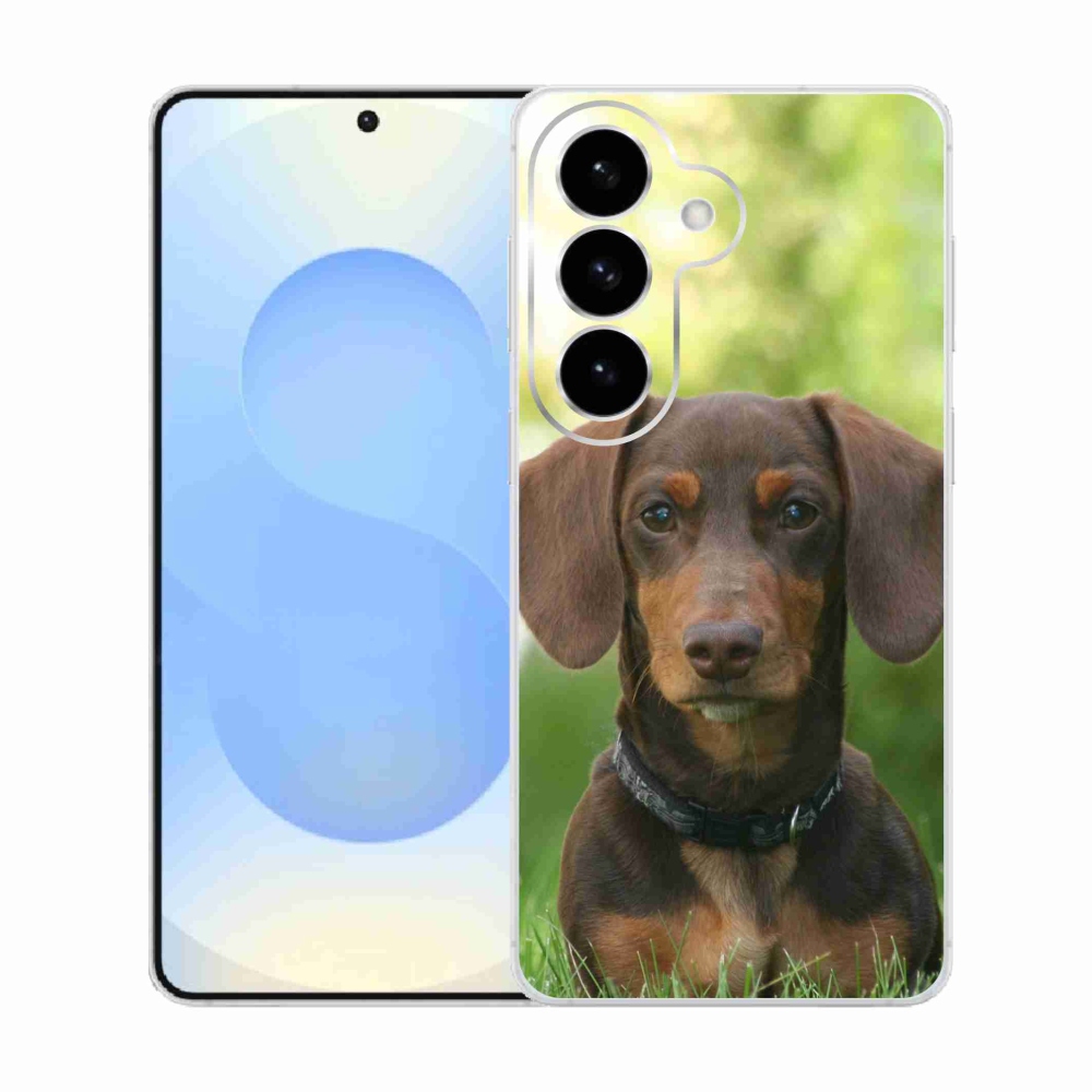 Gelový kryt mmCase na Samsung Galaxy S26  - hnědý jezevčík