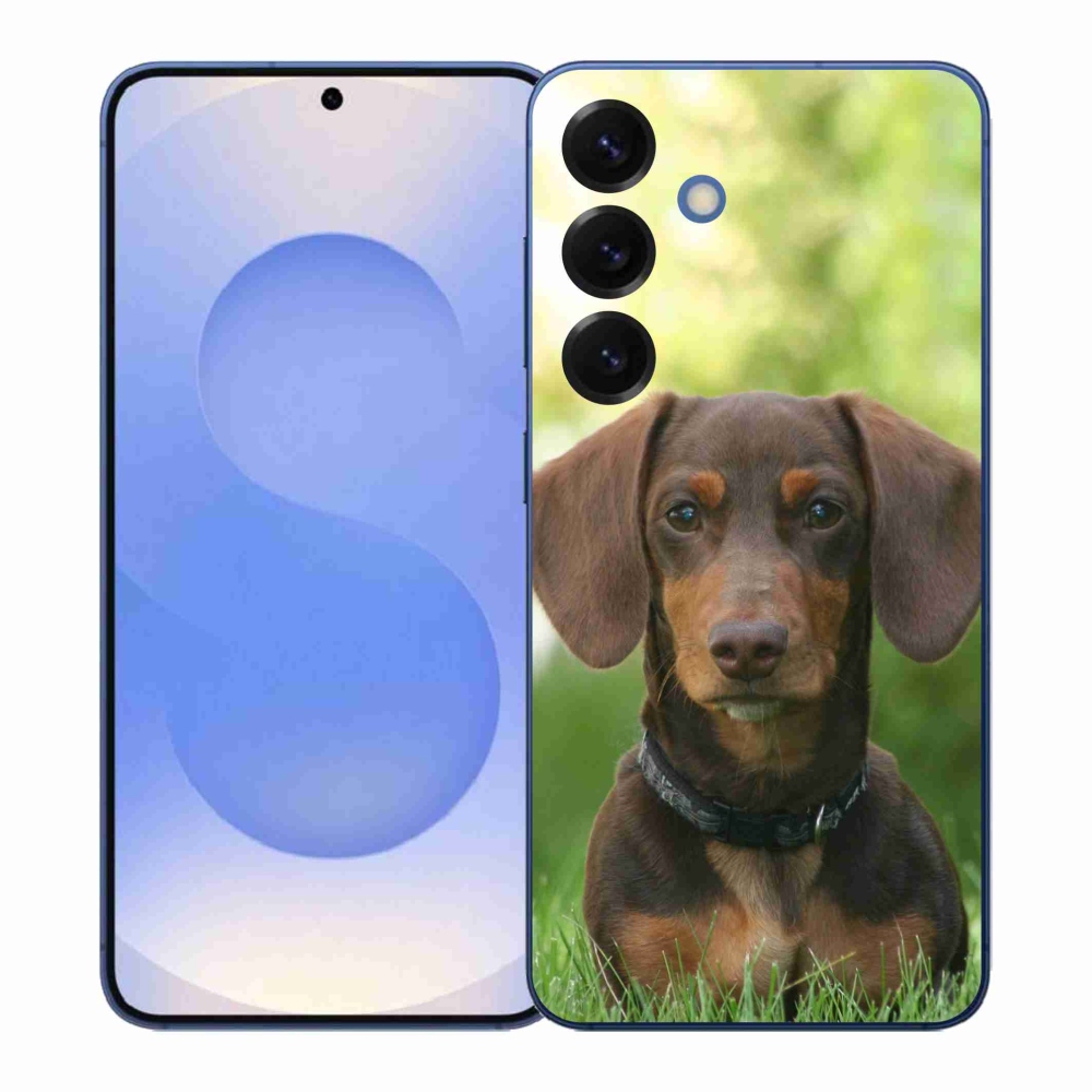 Gelový kryt mmCase na Samsung Galaxy S26+ - hnědý jezevčík