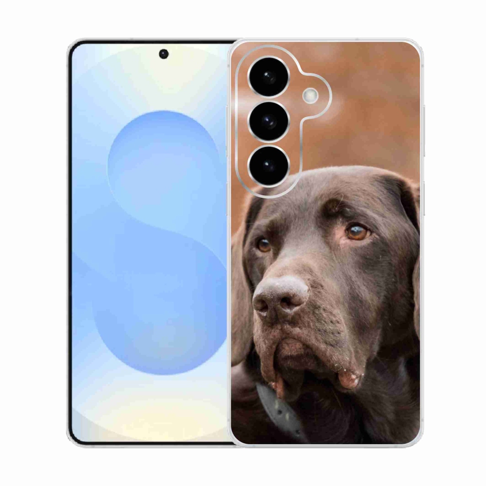 Gelový kryt mmCase na Samsung Galaxy S26  - hnědý labrador
