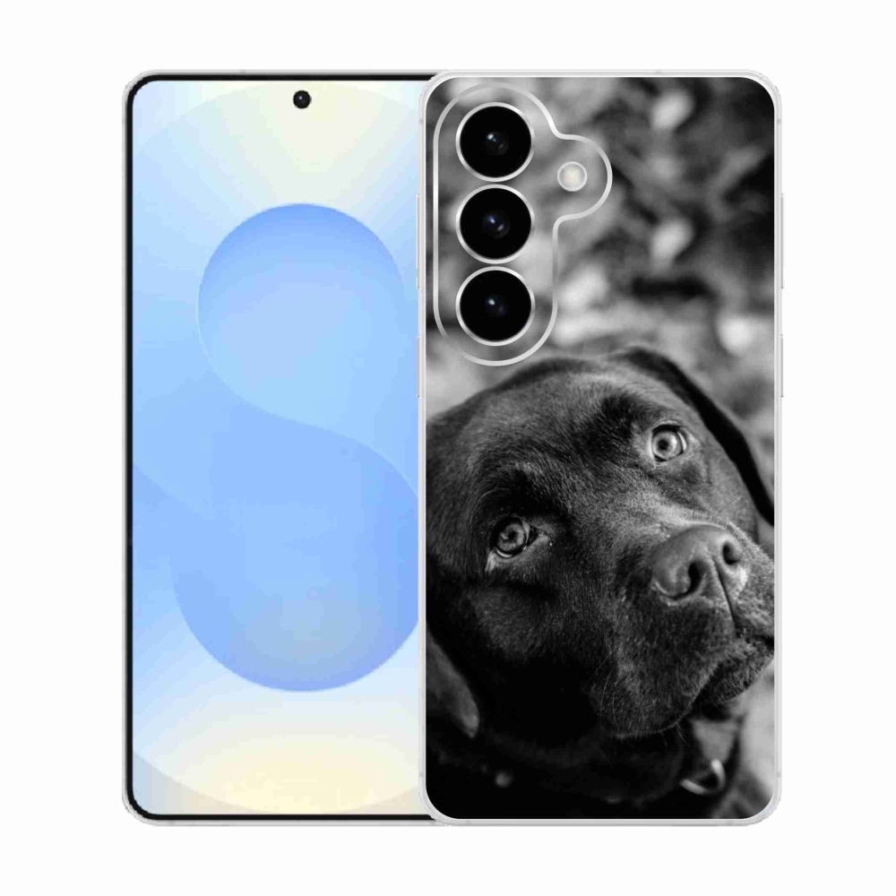 Gelový kryt mmCase na Samsung Galaxy S26  - labrador