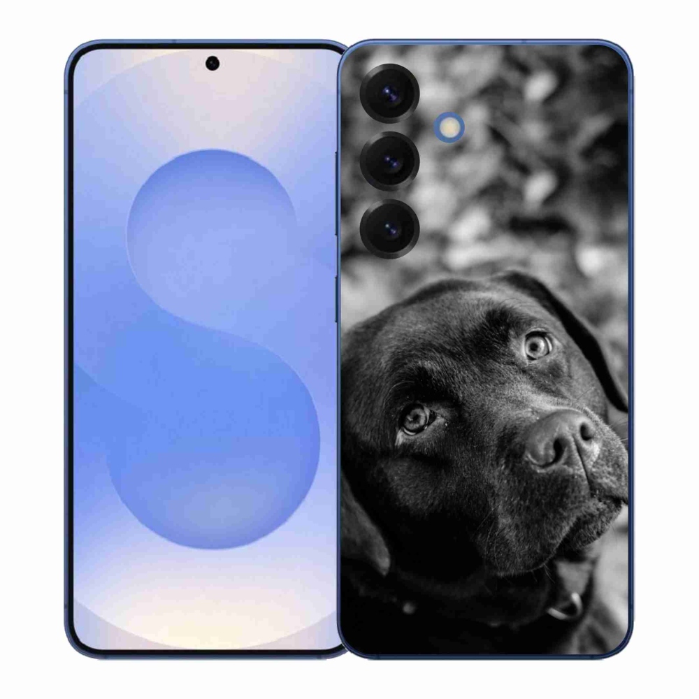 Gelový kryt mmCase na Samsung Galaxy S26+ - labrador
