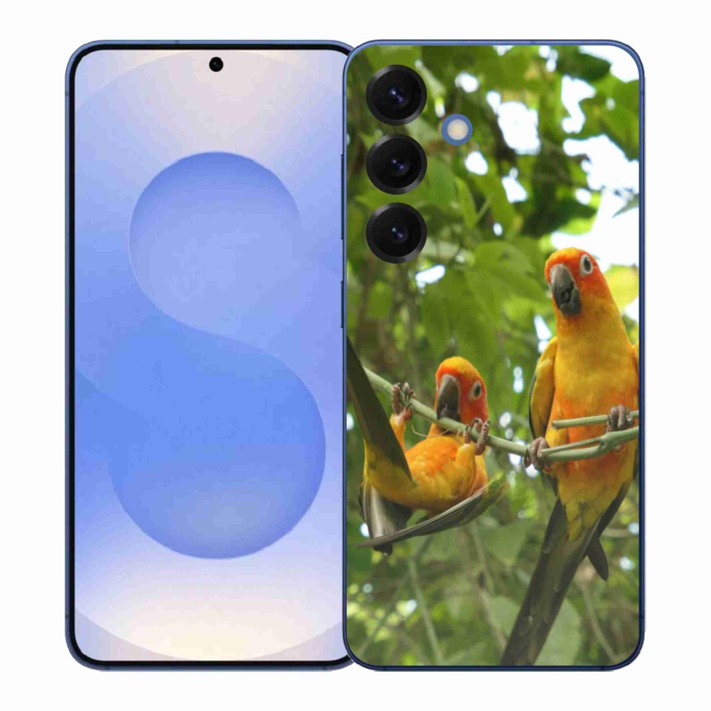 Gelový kryt mmCase na Samsung Galaxy S26+ - papoušci aratingy