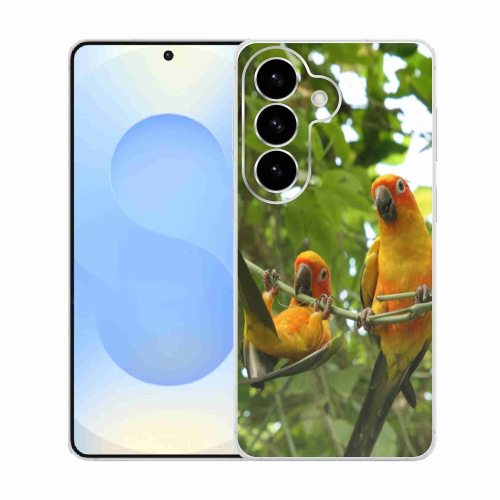 Gelový kryt mmCase na Samsung Galaxy S26  - papoušci aratingy