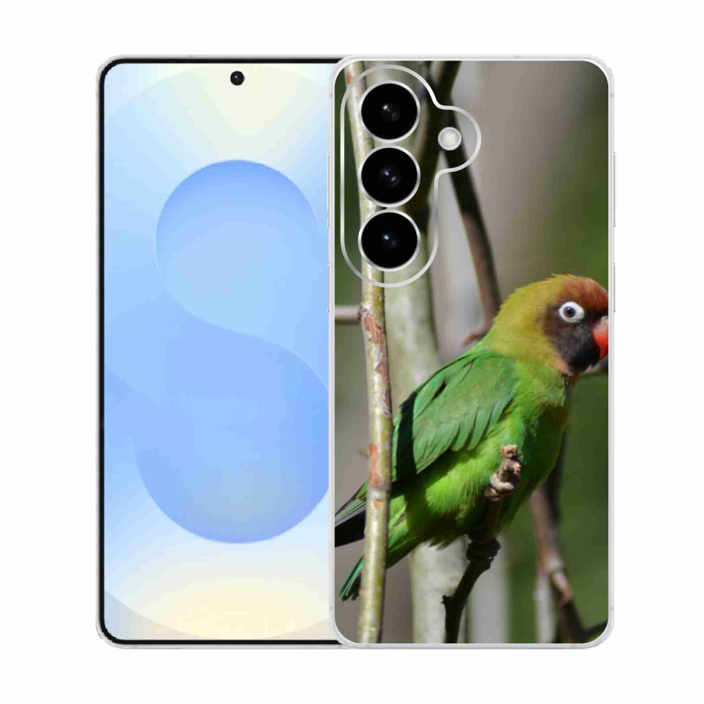 Gelový kryt mmCase na Samsung Galaxy S26  - papoušek agapornis