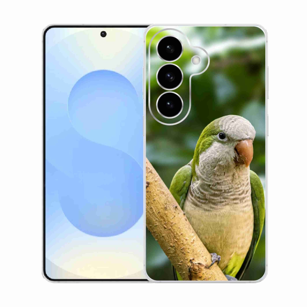 Gelový kryt mmCase na Samsung Galaxy S26  - papoušek mníšek