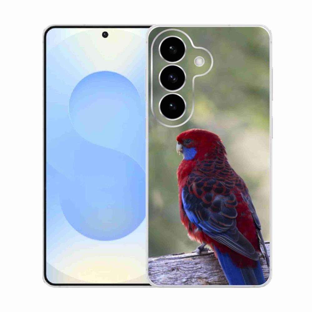 Gelový kryt mmCase na Samsung Galaxy S26  - papoušek rosela