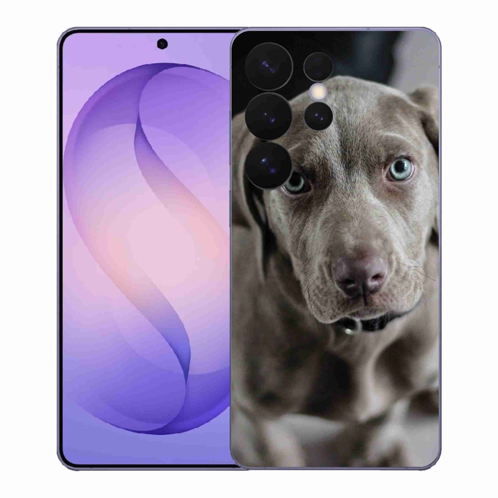 Gelový kryt mmCase na Samsung Galaxy S26 Ultra - výmarský ohař