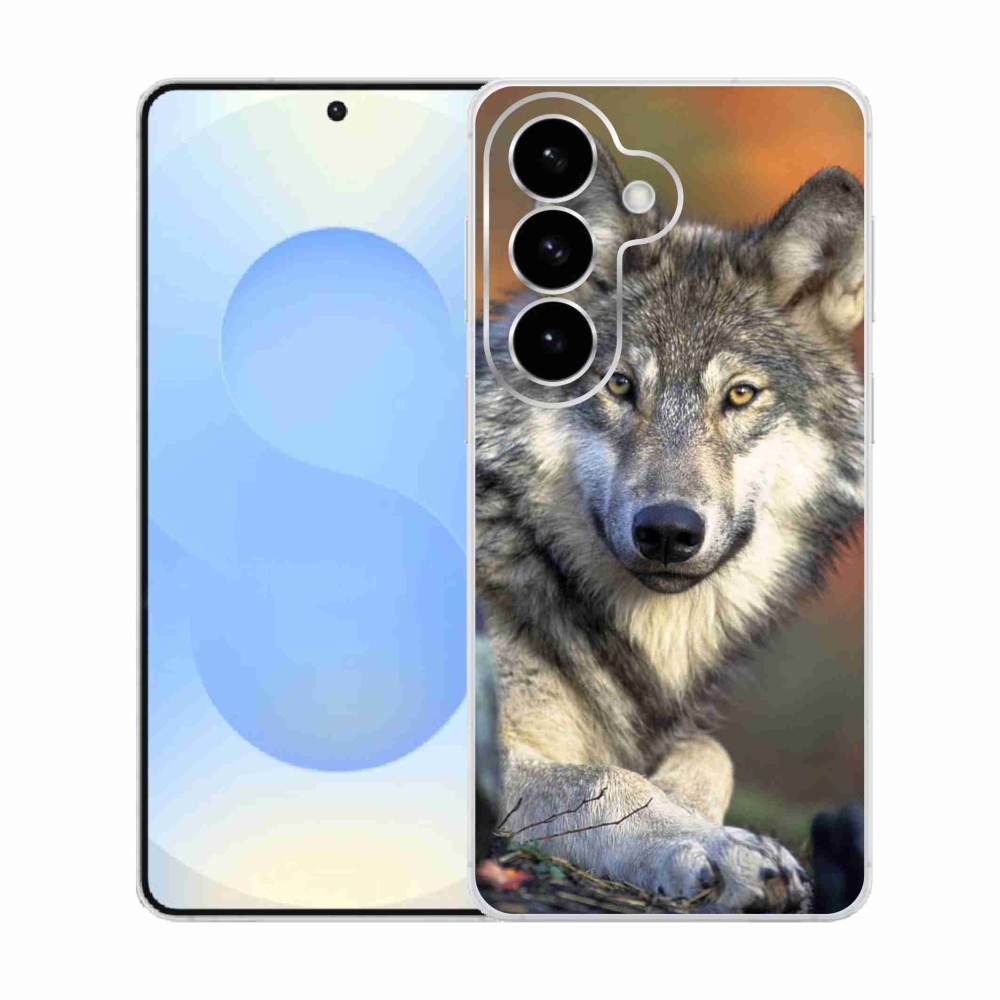 Gelový kryt mmCase na Samsung Galaxy S26  - vlk