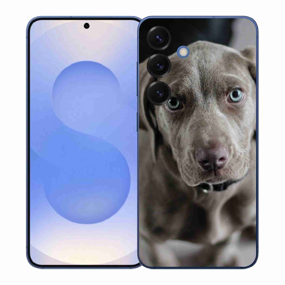 Gelový kryt mmCase na Samsung Galaxy S26+ - výmarský ohař