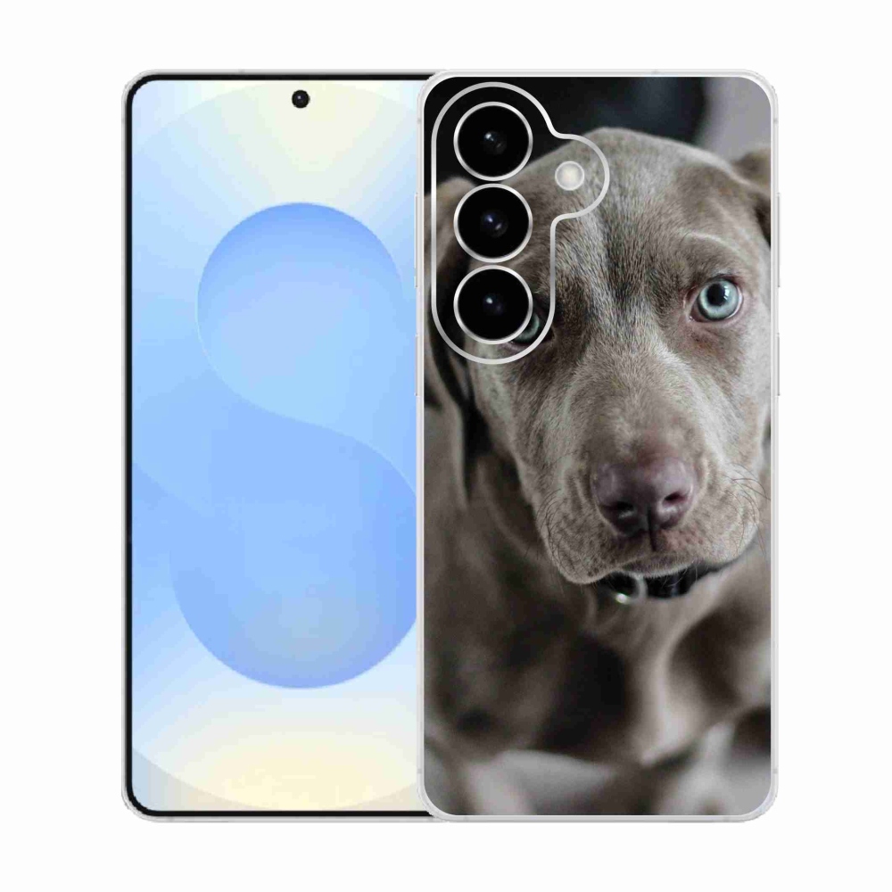 Gelový kryt mmCase na Samsung Galaxy S26  - výmarský ohař