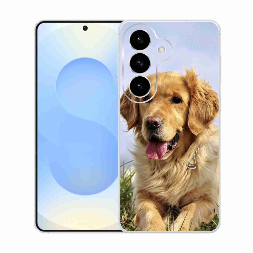 Gelový kryt mmCase na Samsung Galaxy S26  - zlatý retrívr