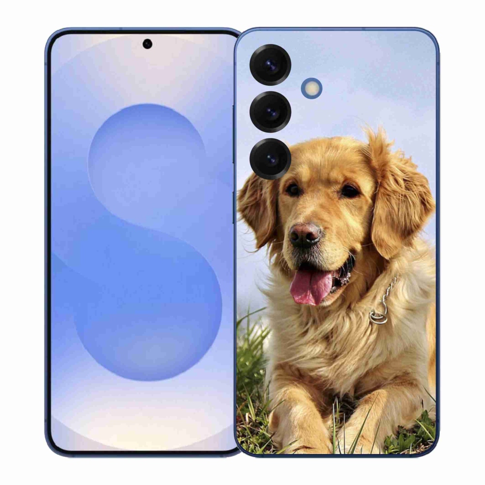 Gelový kryt mmCase na Samsung Galaxy S26+ - zlatý retrívr