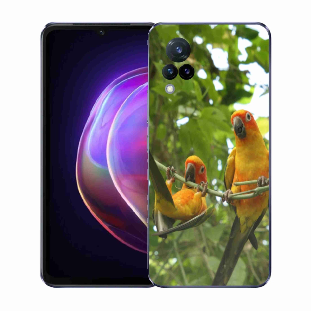 Gelový kryt mmCase na Vivo V21 4G/5G - papoušci aratingy