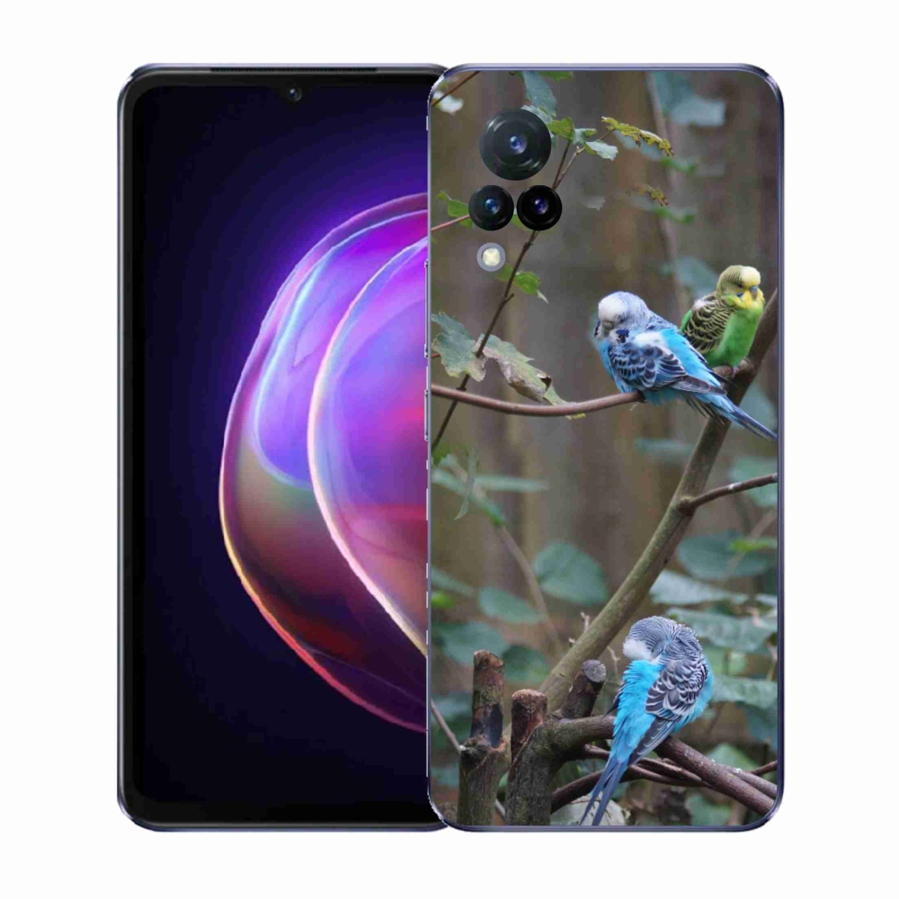 Gelový kryt mmCase na Vivo V21 4G/5G - papoušci na větvi