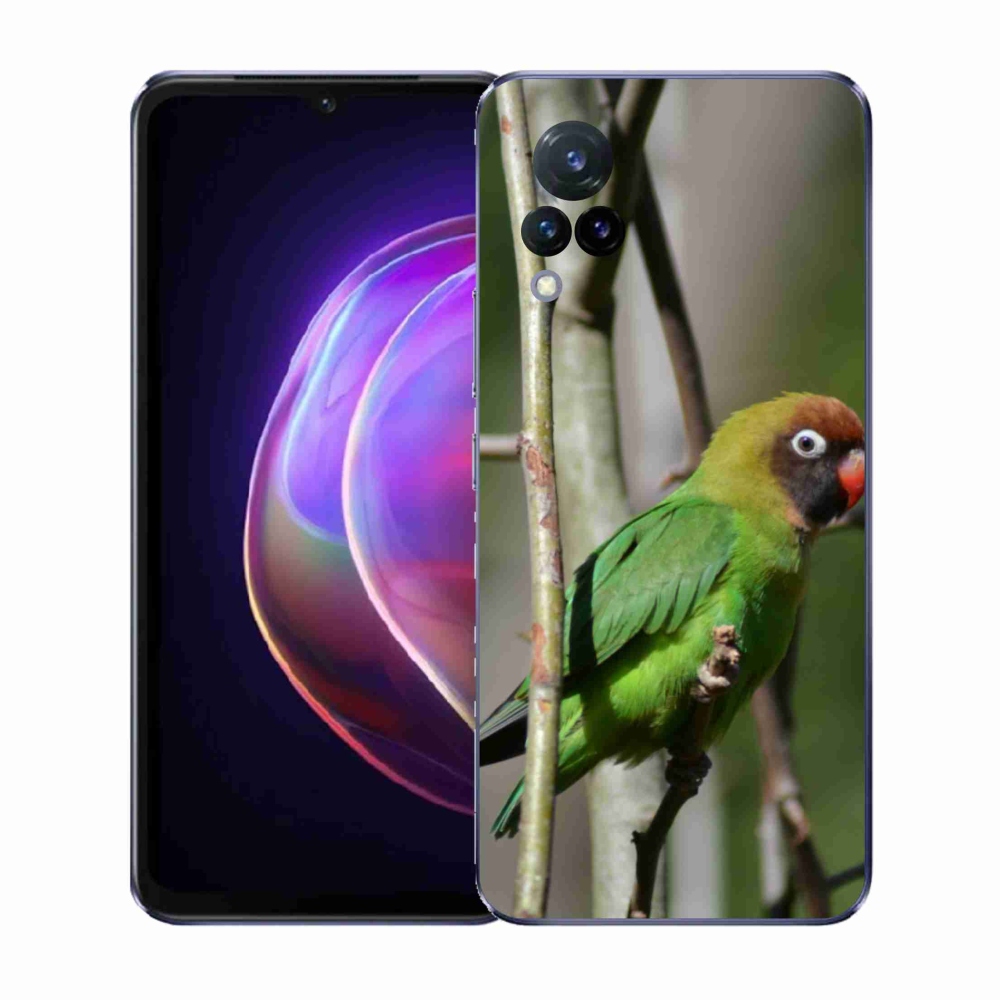 Gelový kryt mmCase na Vivo V21 4G/5G - papoušek agapornis