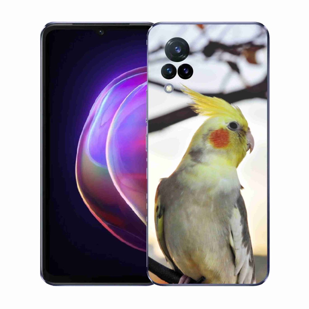 Gelový kryt mmCase na Vivo V21 4G/5G - papoušek korela