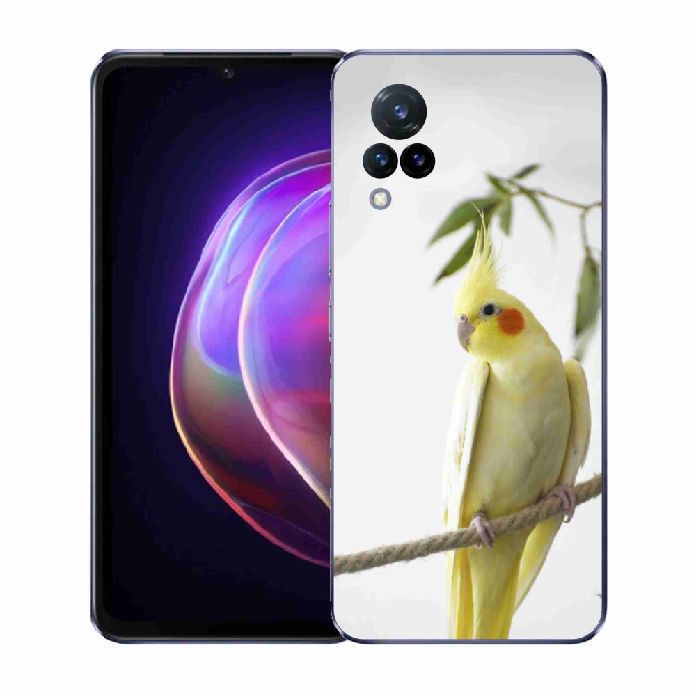 Gelový kryt mmCase na Vivo V21 4G/5G - papoušek korela chocholatá