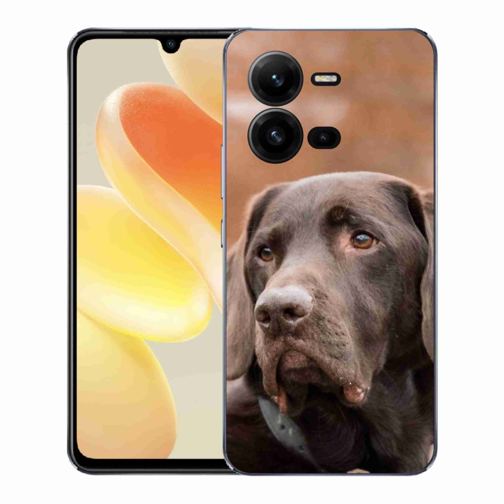 Gelový kryt mmCase na Vivo X80 Lite - hnědý labrador