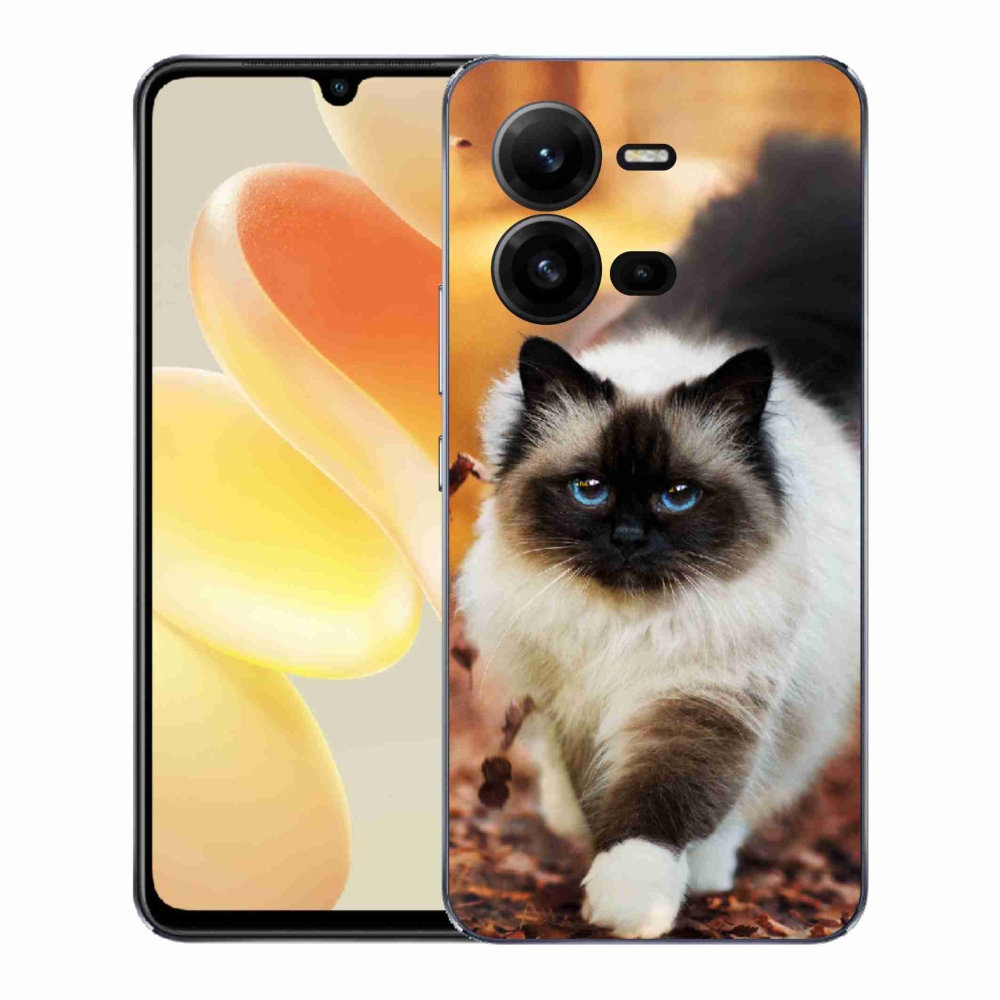 Gelový kryt mmCase na Vivo X80 Lite - kočka
