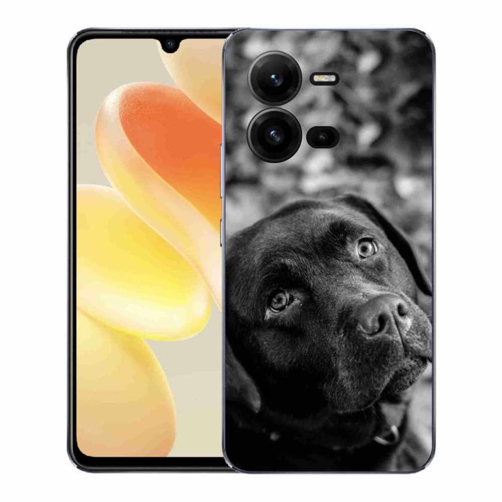 Gelový kryt mmCase na Vivo X80 Lite - labrador