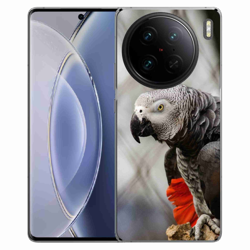 Gelový kryt mmCase na Vivo X90 Pro - papoušek žako 3