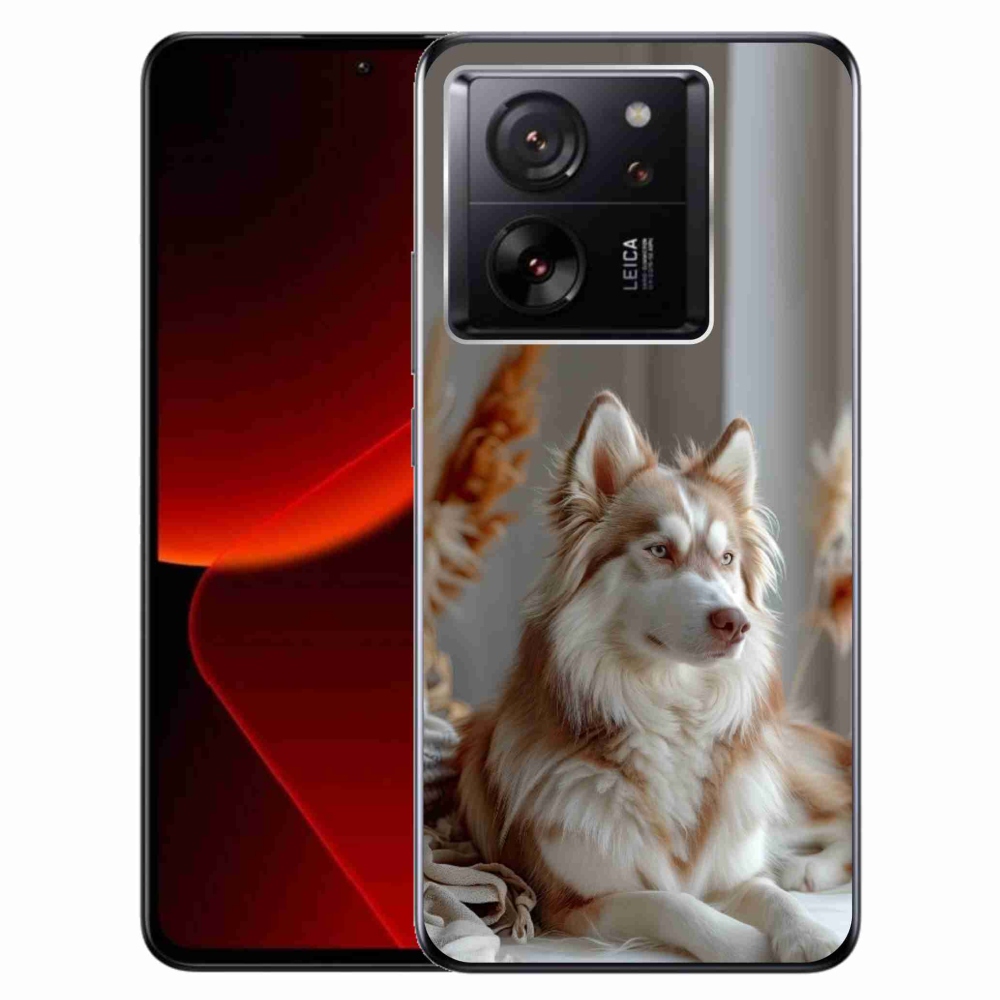 Gelový kryt mmCase na Xiaomi 13T/13T Pro - klidný sibiřský husky
