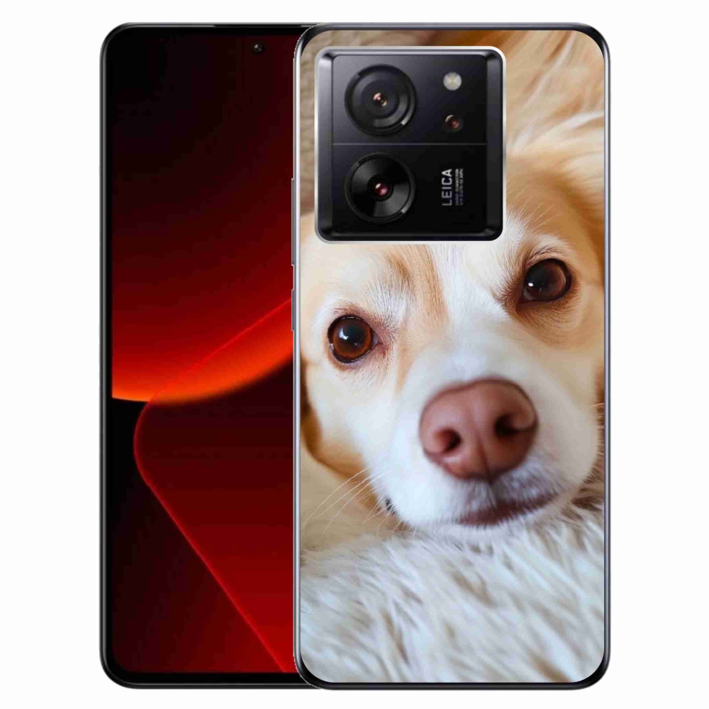 Gelový kryt mmCase na Xiaomi 13T/13T Pro - Roztomilá čivava