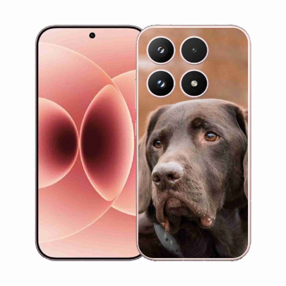 Gelový kryt mmCase na Xiaomi 17 - hnědý labrador