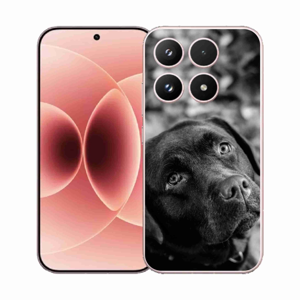 Gelový kryt mmCase na Xiaomi 17 - labrador