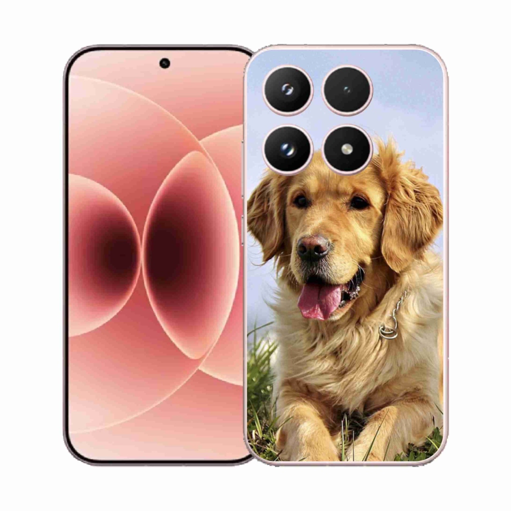 Gelový kryt mmCase na Xiaomi 17 - zlatý retrívr