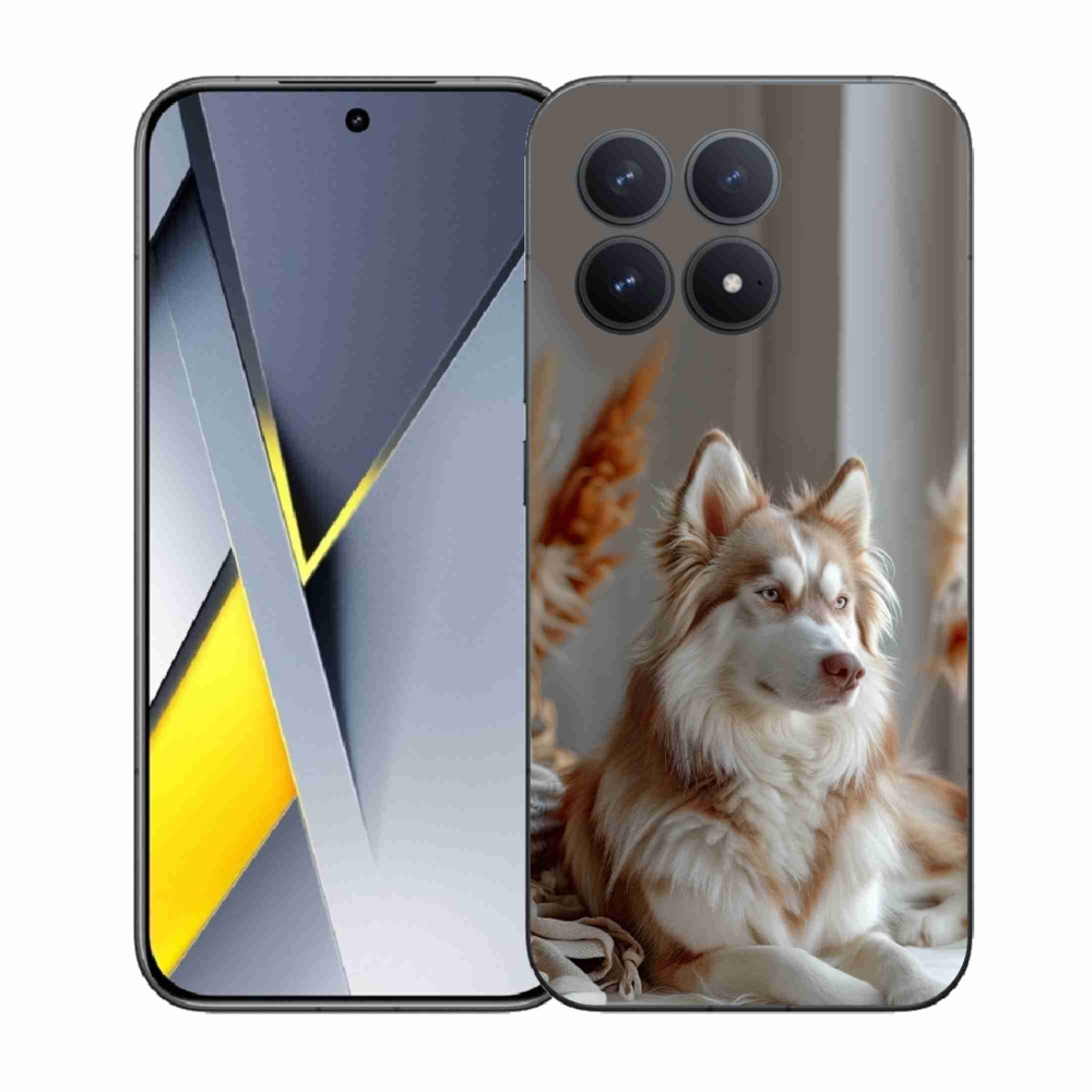 Gelový kryt mmCase na Xiaomi Poco F8 Pro - klidný sibiřský husky