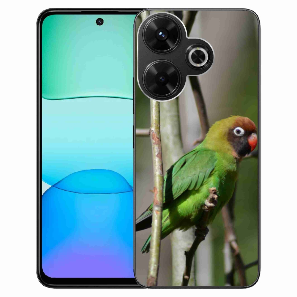 Gelový kryt mmCase na Xiaomi Redmi 13 4G/Poco M6 4G - papoušek agaPronis