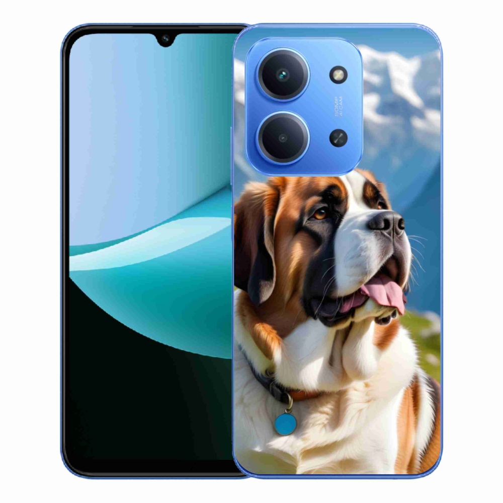 Gelový kryt mmCase na Xiaomi Redmi 15C 4G/5G (173mm) - bernardýn