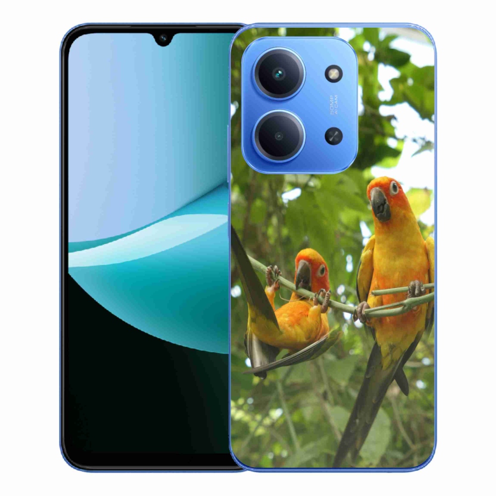 Gelový kryt mmCase na Xiaomi Redmi 15C 4G/5G (173mm) - papoušci aratingy